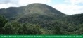 /album/conhe%c3%a7a%20s%c3%a3o%20roque-sp/saboo01-jpg/